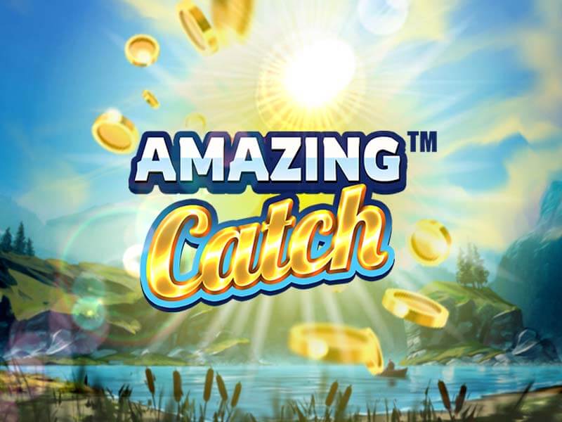 Jogo Amazing Catch